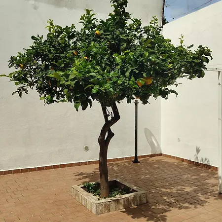 بيت للعطل Casa Rinuccia كازاميتْشيولا تيرمي