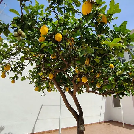 Casa Rinuccia كازاميتْشيولا تيرمي