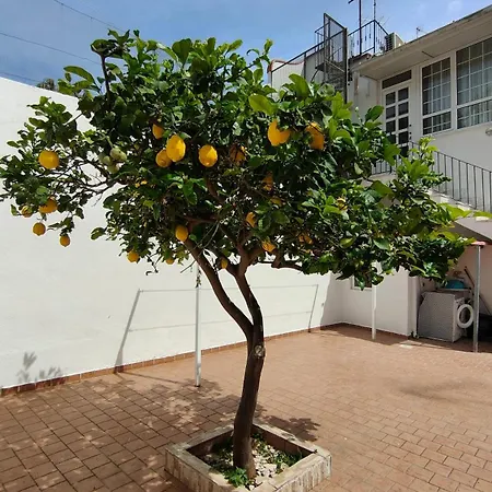 Casa Rinuccia Tatil Evi